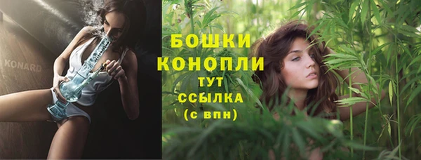 дурь Нягань