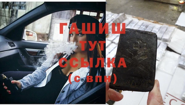 соль ск Няндома