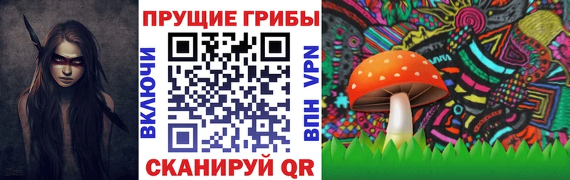 Псилоцибиновые грибы Psilocybine cubensis  как найти закладки  Кирс 